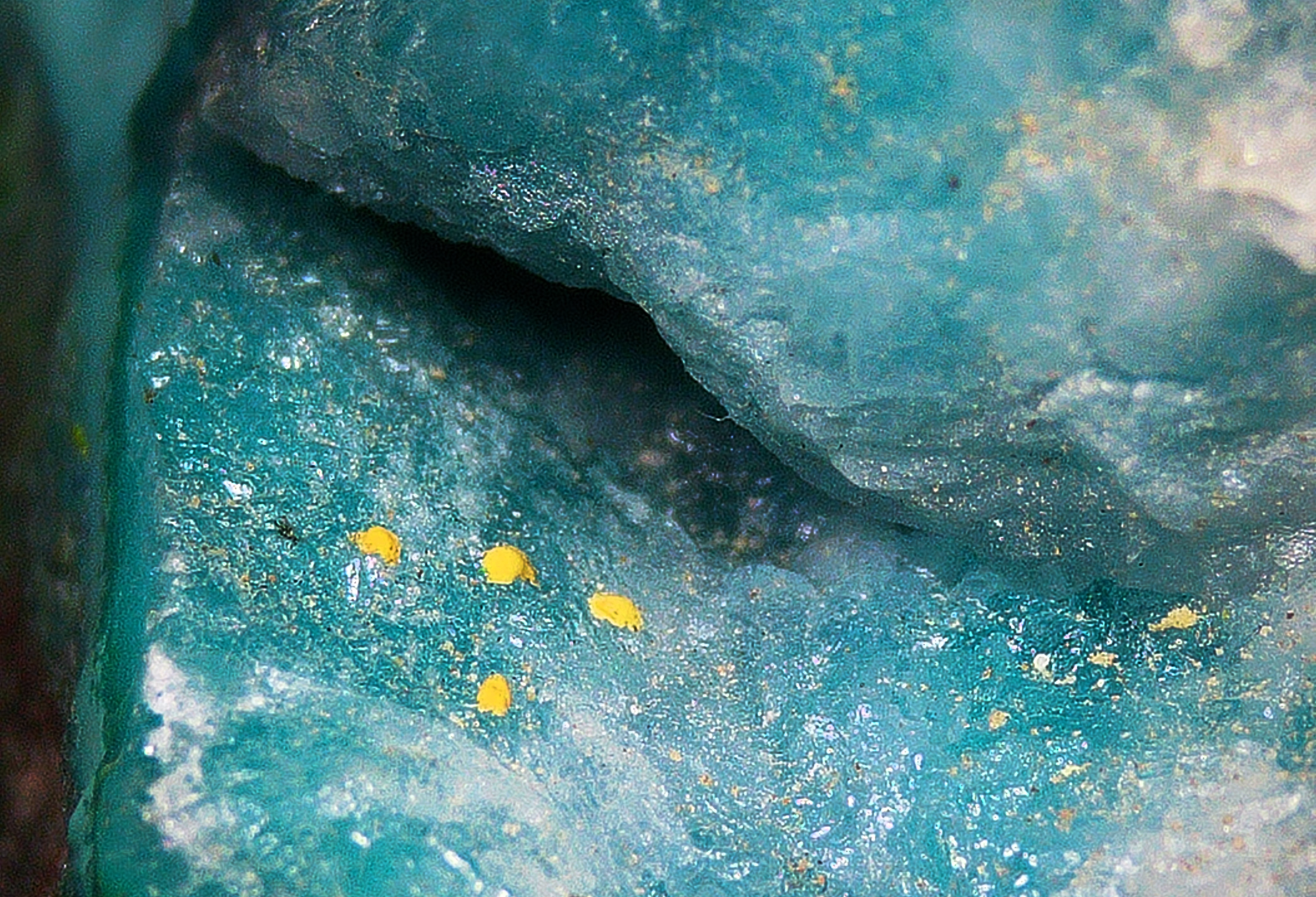 Chrysocolla with Malachite and Quartz - Koakoveld, Namibia
