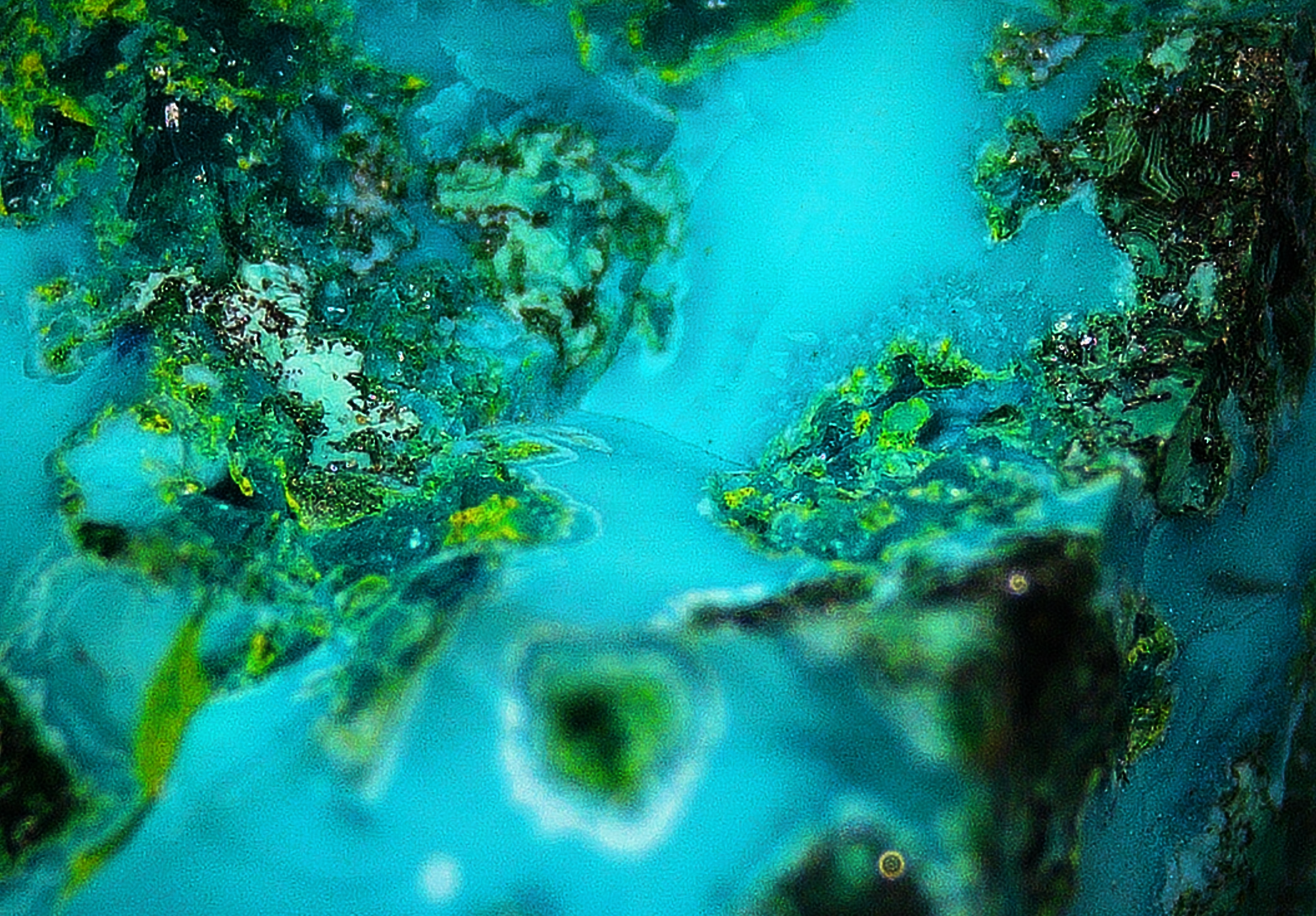Chrysocolla with Malachite and Quartz - Koakoveld, Namibia