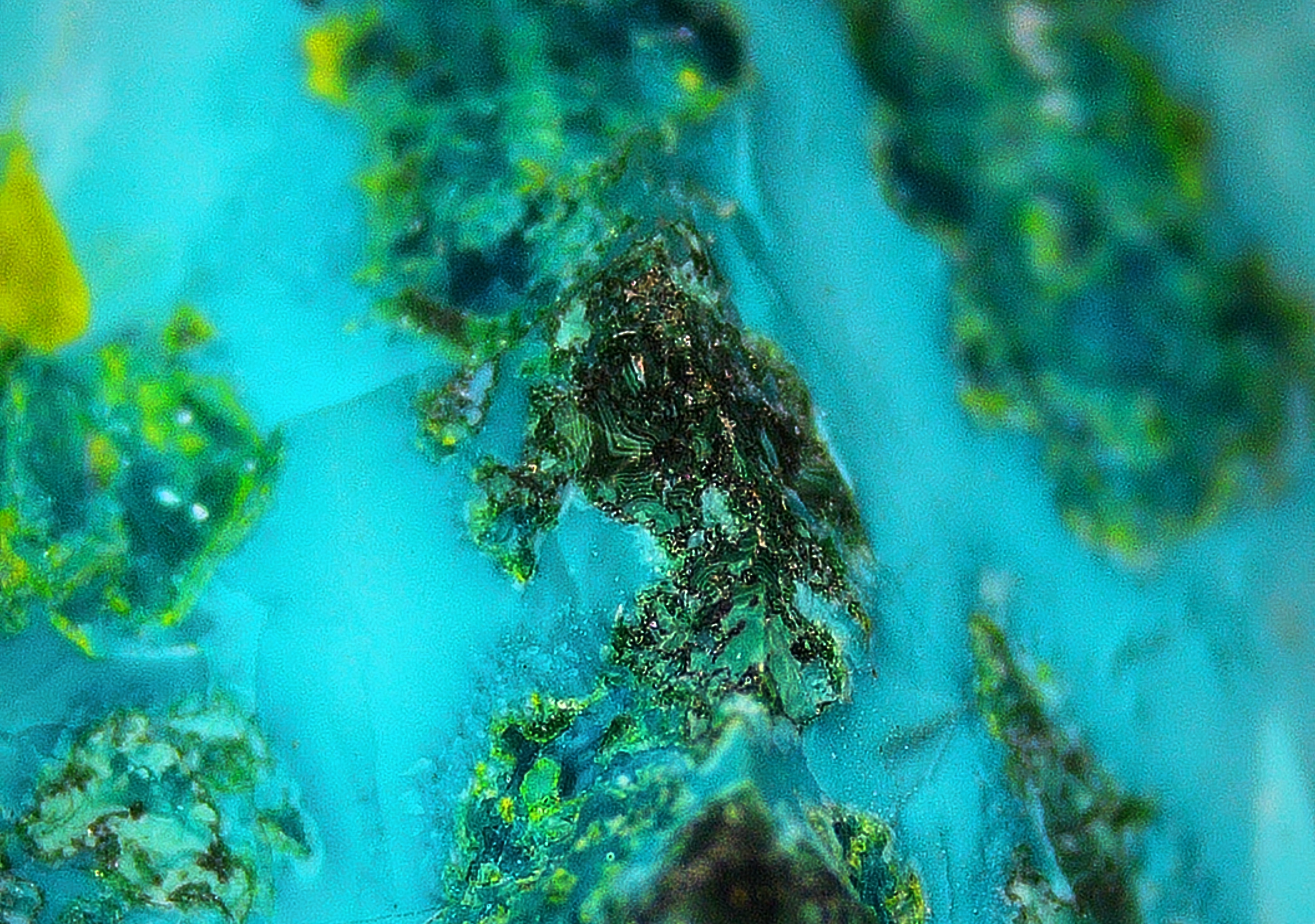 Chrysocolla with Malachite and Quartz - Koakoveld, Namibia