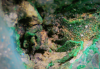Chrysocolla with Malachite and Quartz - Kaokoveld, Namibia