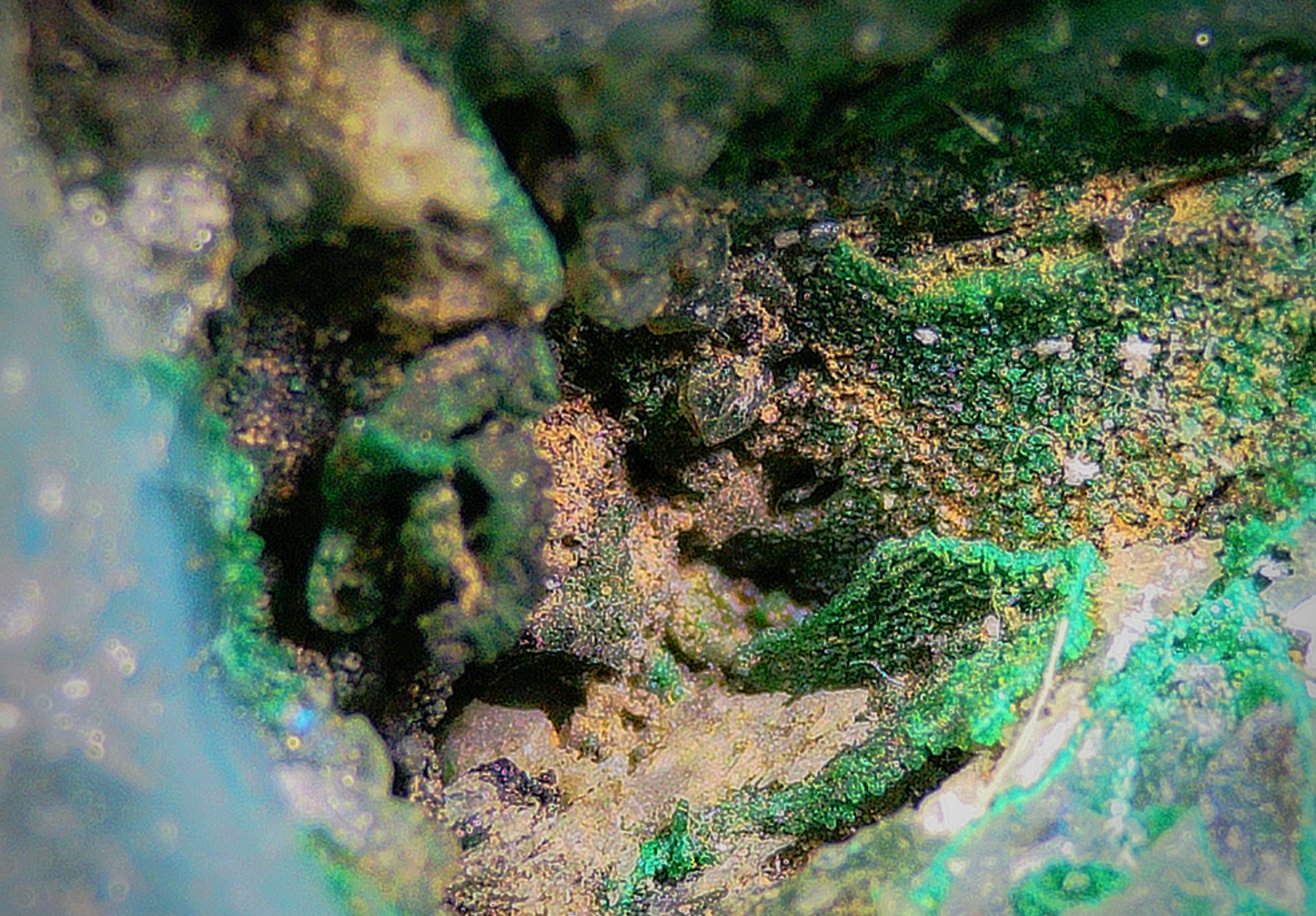 Chrysocolla with Malachite and Quartz - Kaokoveld, Namibia