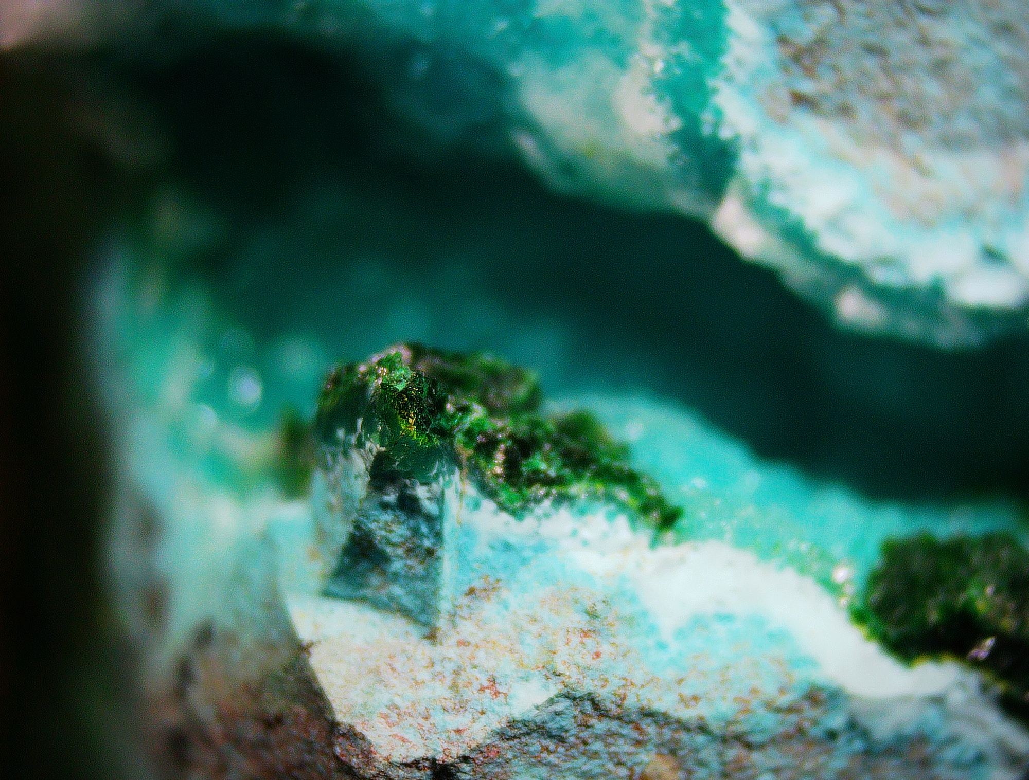 Chrysocolla with Shattuckite and Quartz matrix - Kaokoveld, Namibia