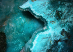 Chrysocolla with Shattuckite and Quartz matrix - Kaokoveld, Namibia