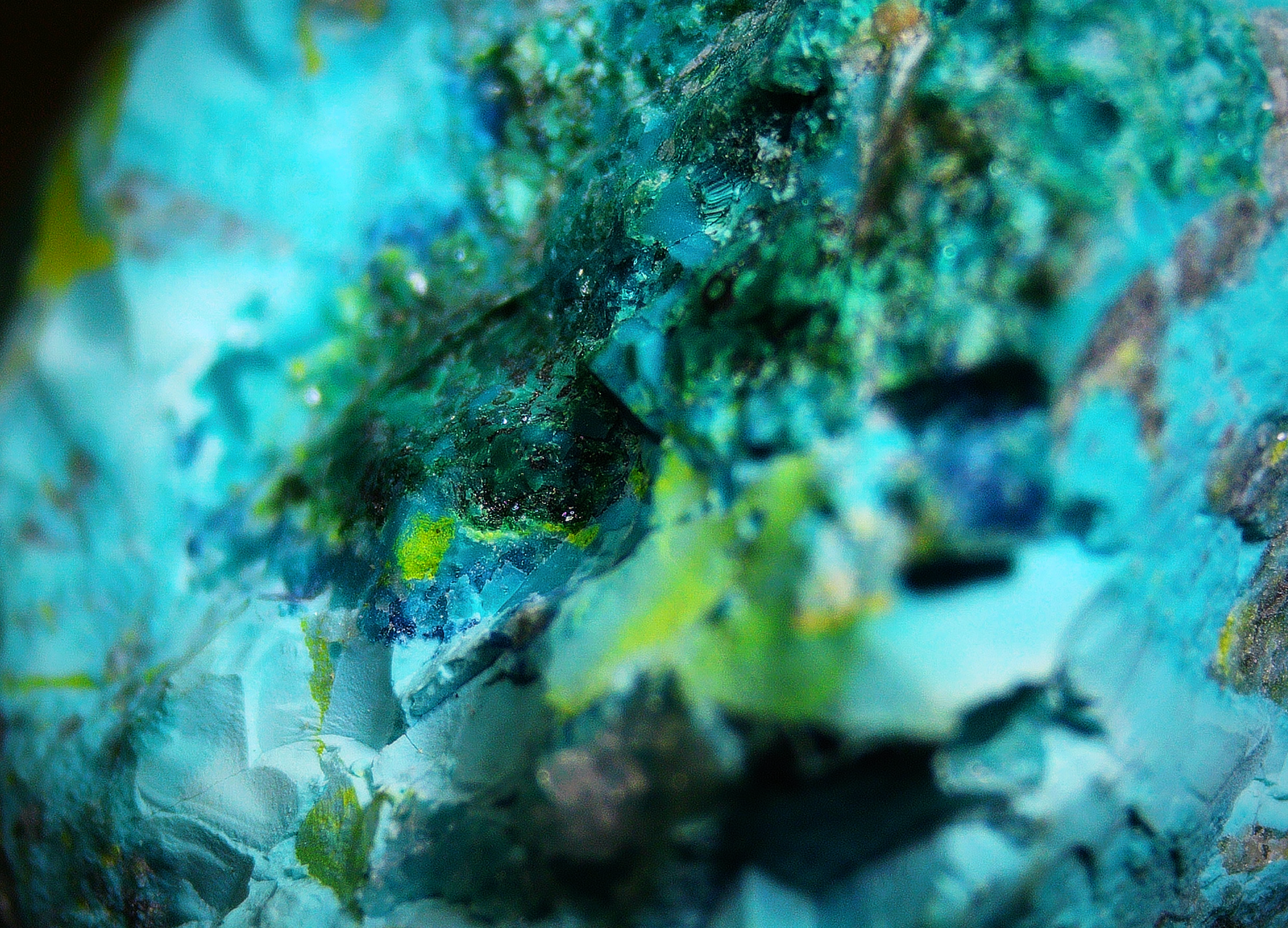 Chrysocolla with Shattuckite and Quartz matrix - Kaokoveld, Namibia