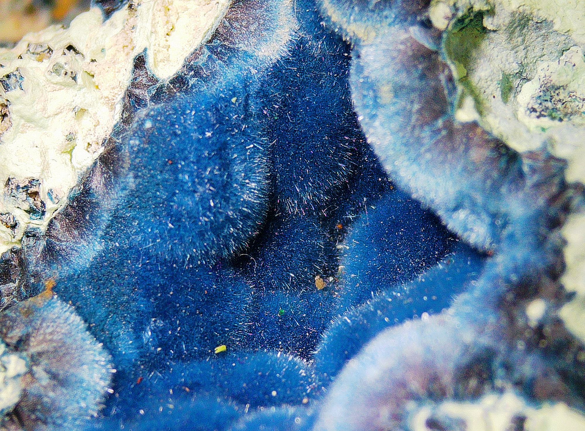 Shattuckite with Chrysocolla and Quartz - Kaokoveld, Namibia