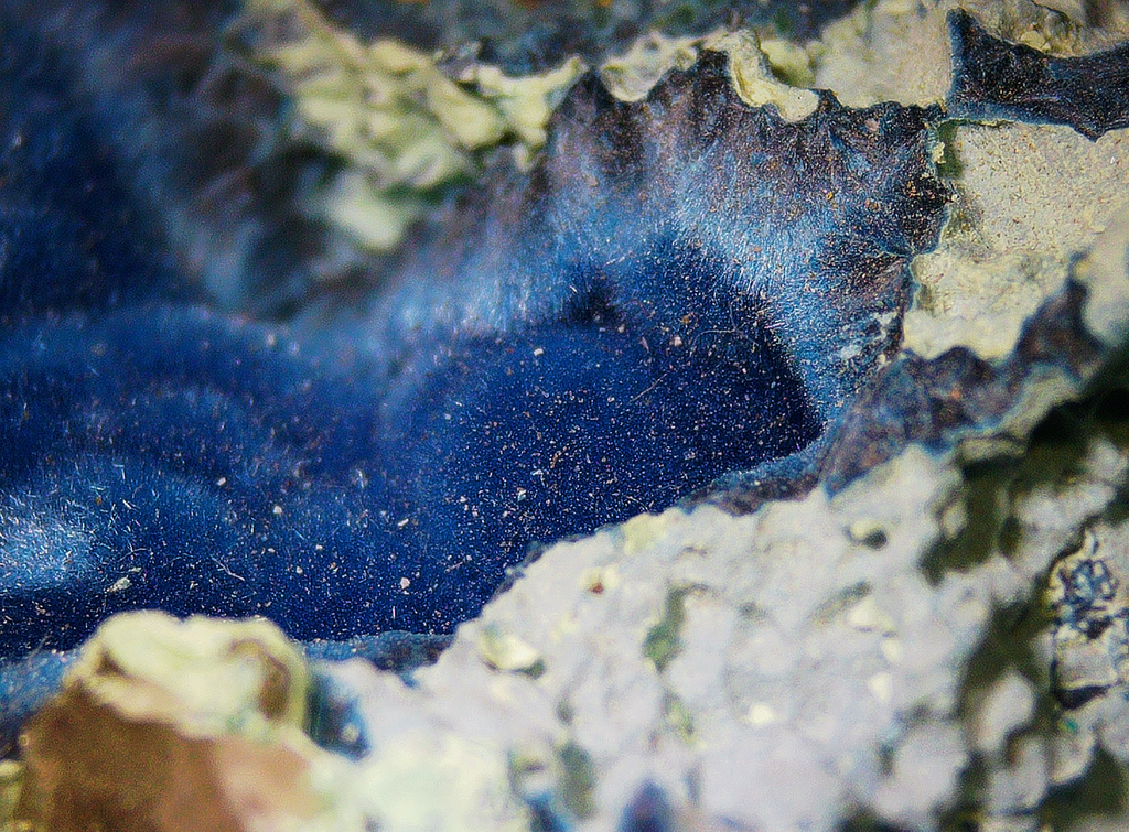 Shattuckite with Chrysocolla - Kaokoveld, Namibia