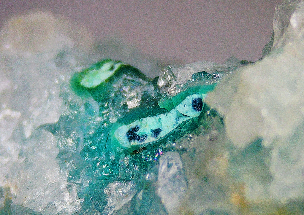 Shattuckite with Quartz and Chrysocolla - Kaokoveld, Namibia