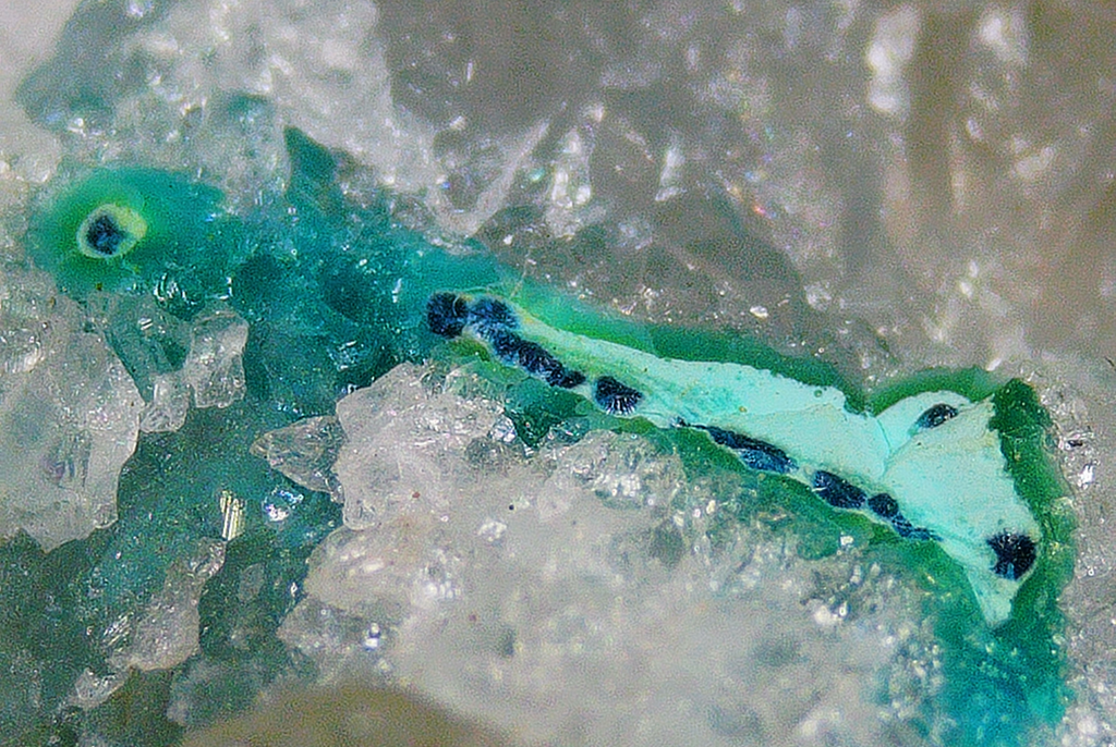 Shattuckite with Quartz and Chrysocolla - Kaokoveld, Namibia