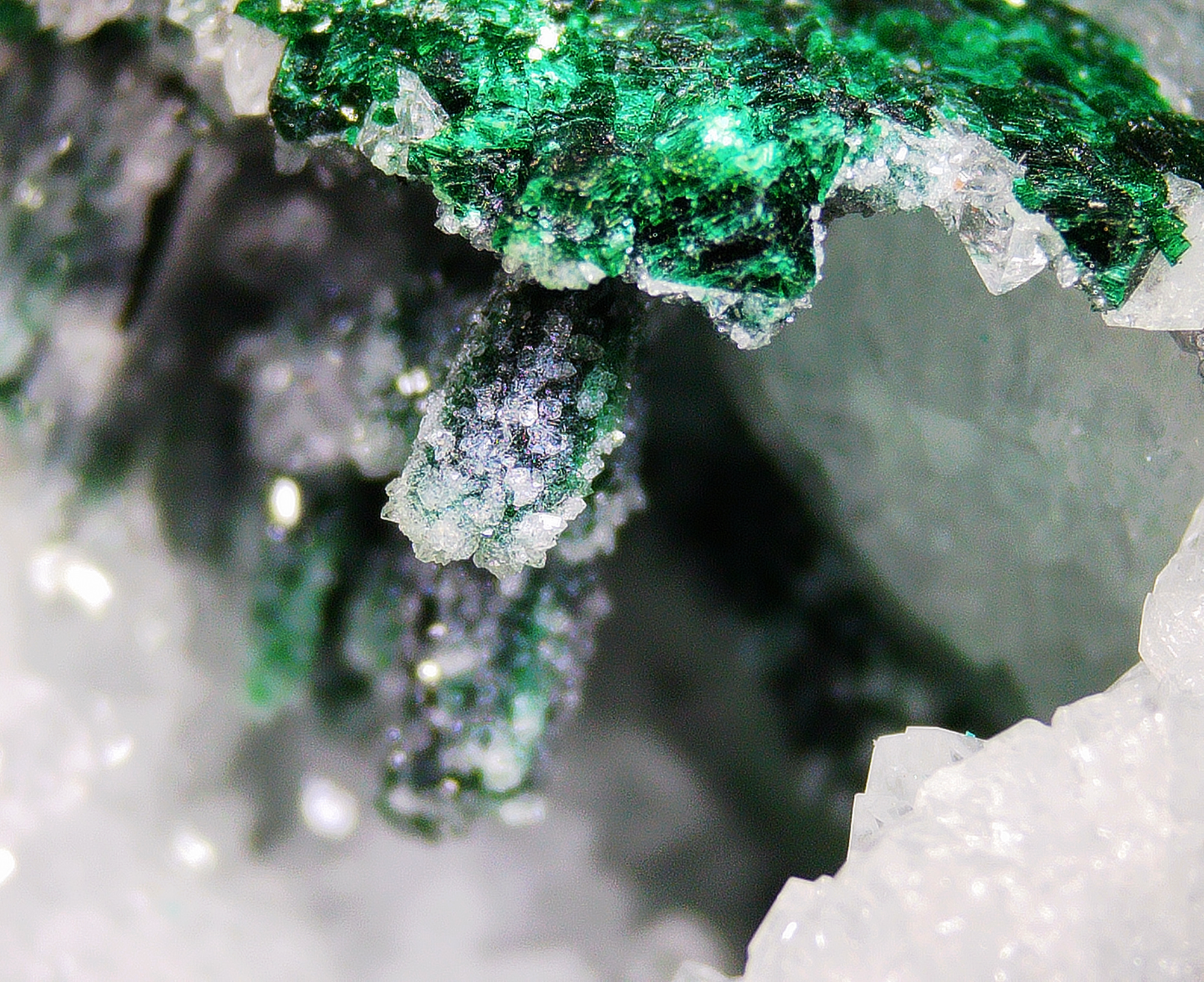 Dioptase on Quartz Matrix - Kaokoveld, Namibia