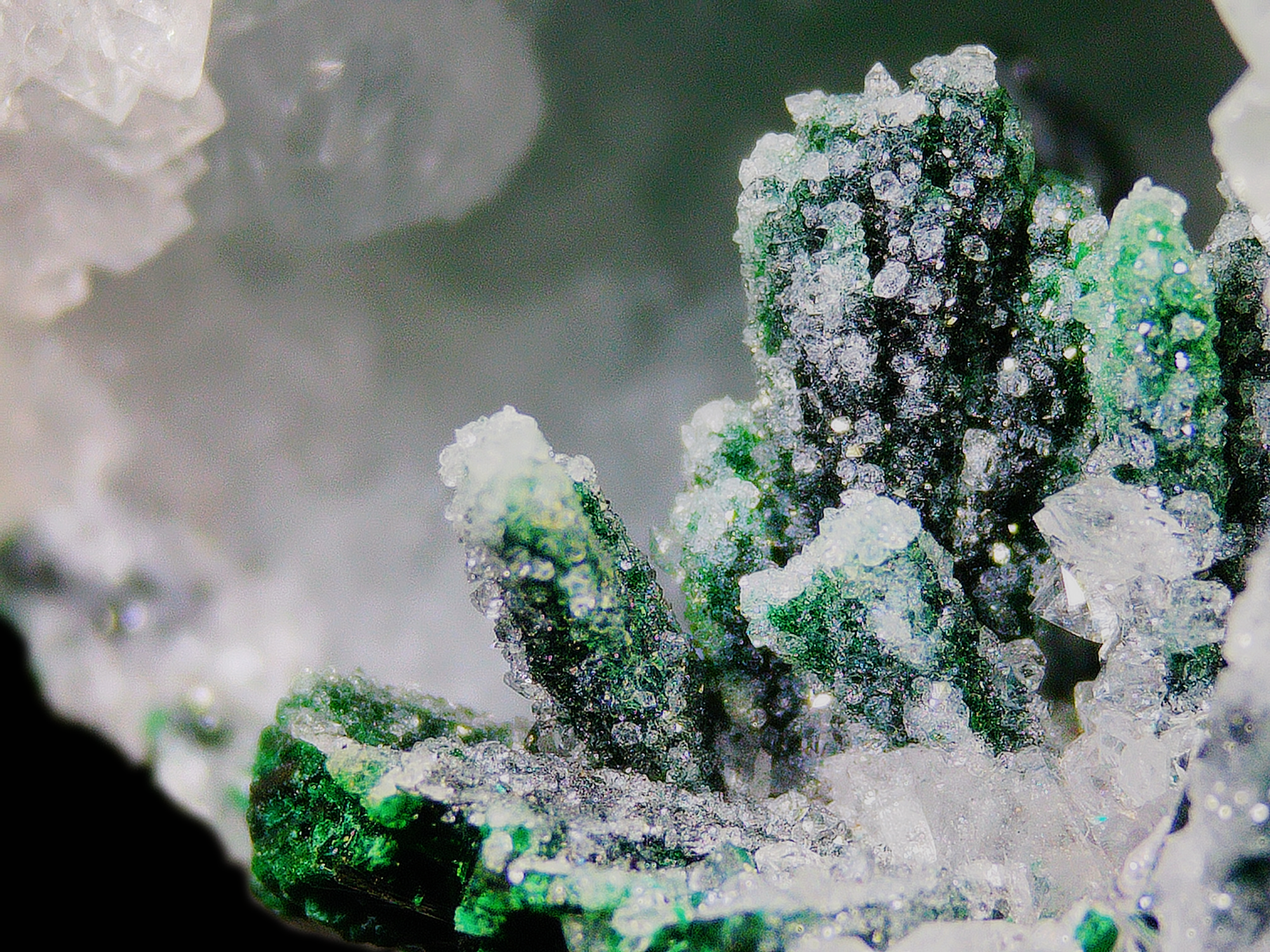 Dioptase on Quartz Matrix - Kaokoveld, Namibia