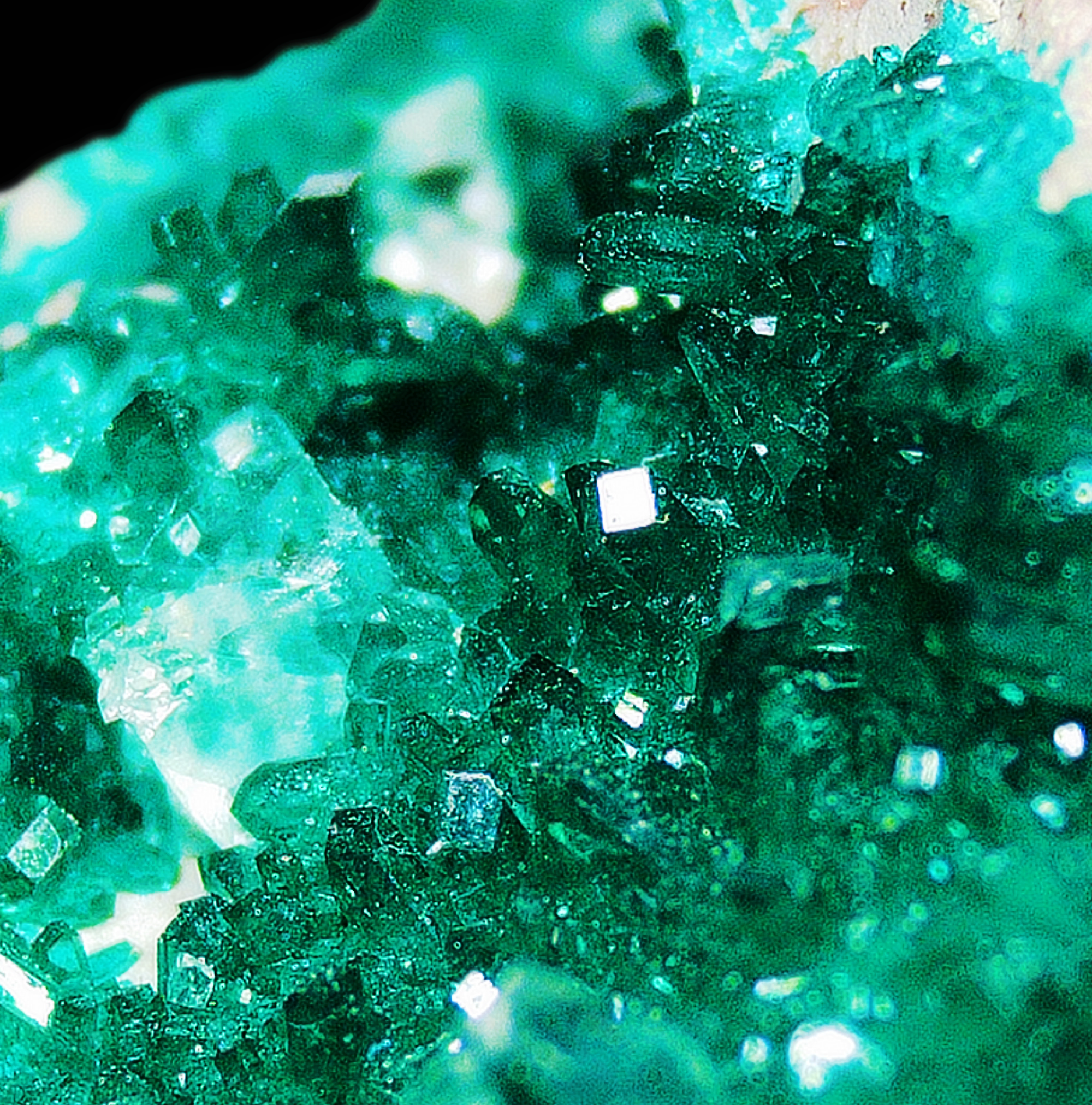 Dioptase on Matrix - Kaokoveld, Namibia