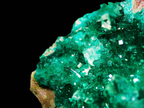 Dioptase on Matrix - Kaokoveld, Namibia