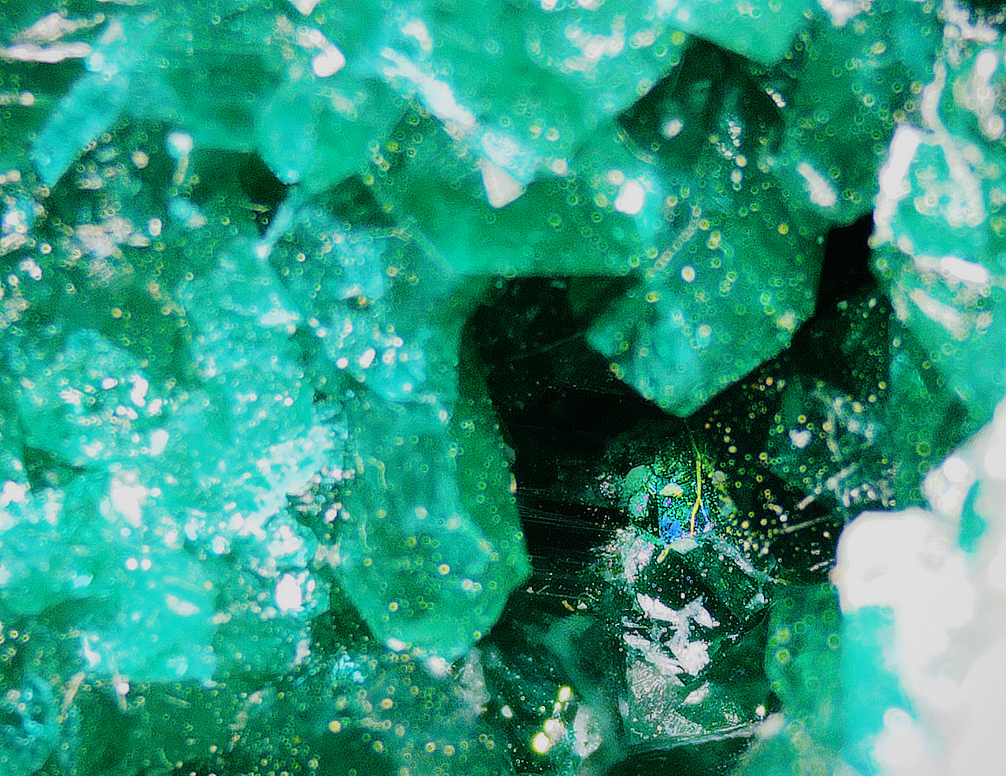Dioptase on Matrix - Kaokoveld, Namibia