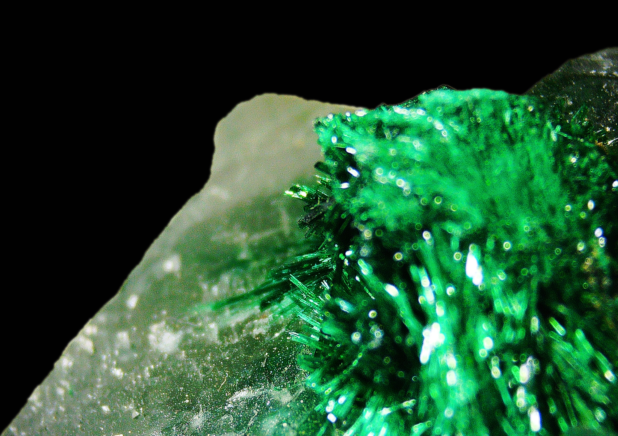 Dioptase with Malachite on Quartz Matrix - Kaokoveld, Namibia