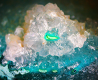 Dioptase on Quartz Matrix - Kaokoveld, Namibia