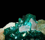 Dioptase on Matrix - Kaokoveld, Namibia
