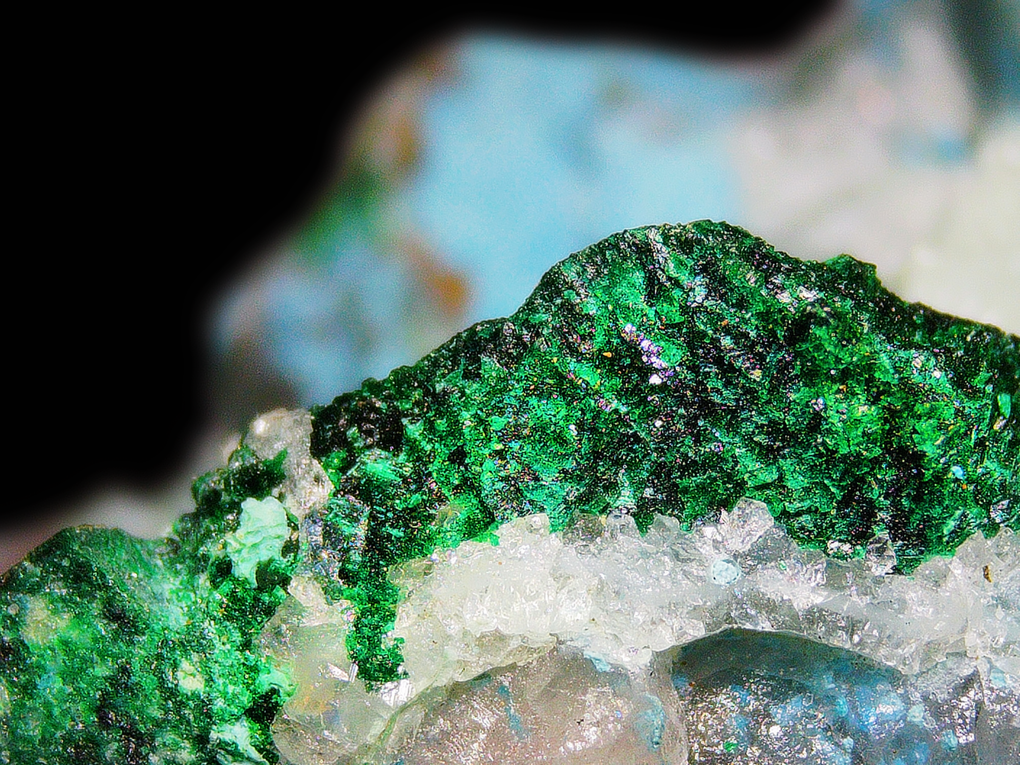 Dioptase with Chrysocolla on Quartz Matrix - Kaokoveld, Namibia