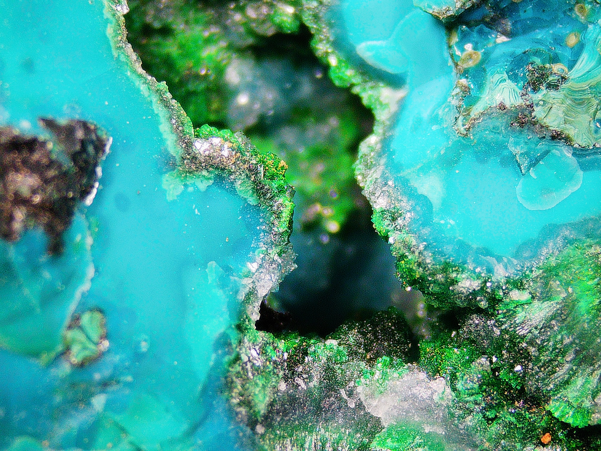 Chrysocolla with Tenorite on Matrix - Kaokoveld, Namibia