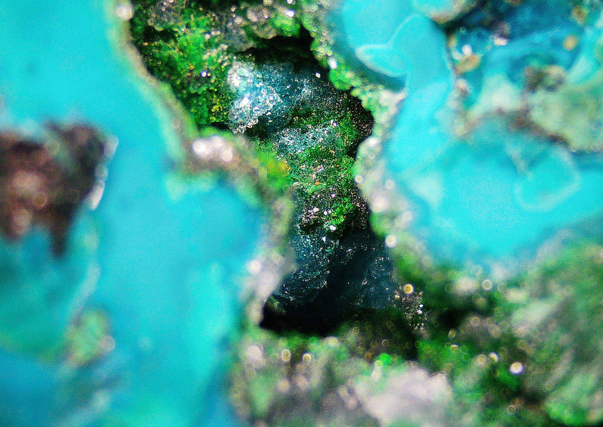 Chrysocolla with Tenorite on Matrix - Kaokoveld, Namibia