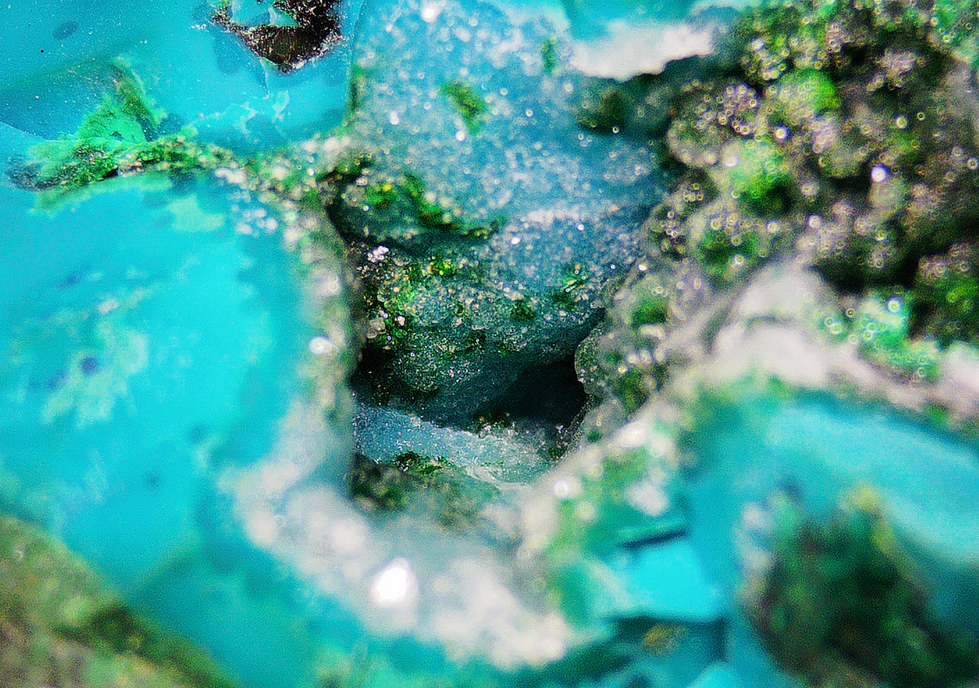 Chrysocolla with Tenorite on Matrix - Kaokoveld, Namibia