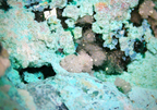 Chrysocolla with Dioptase on Quartz Matrix - Kaokoveld, Namibia