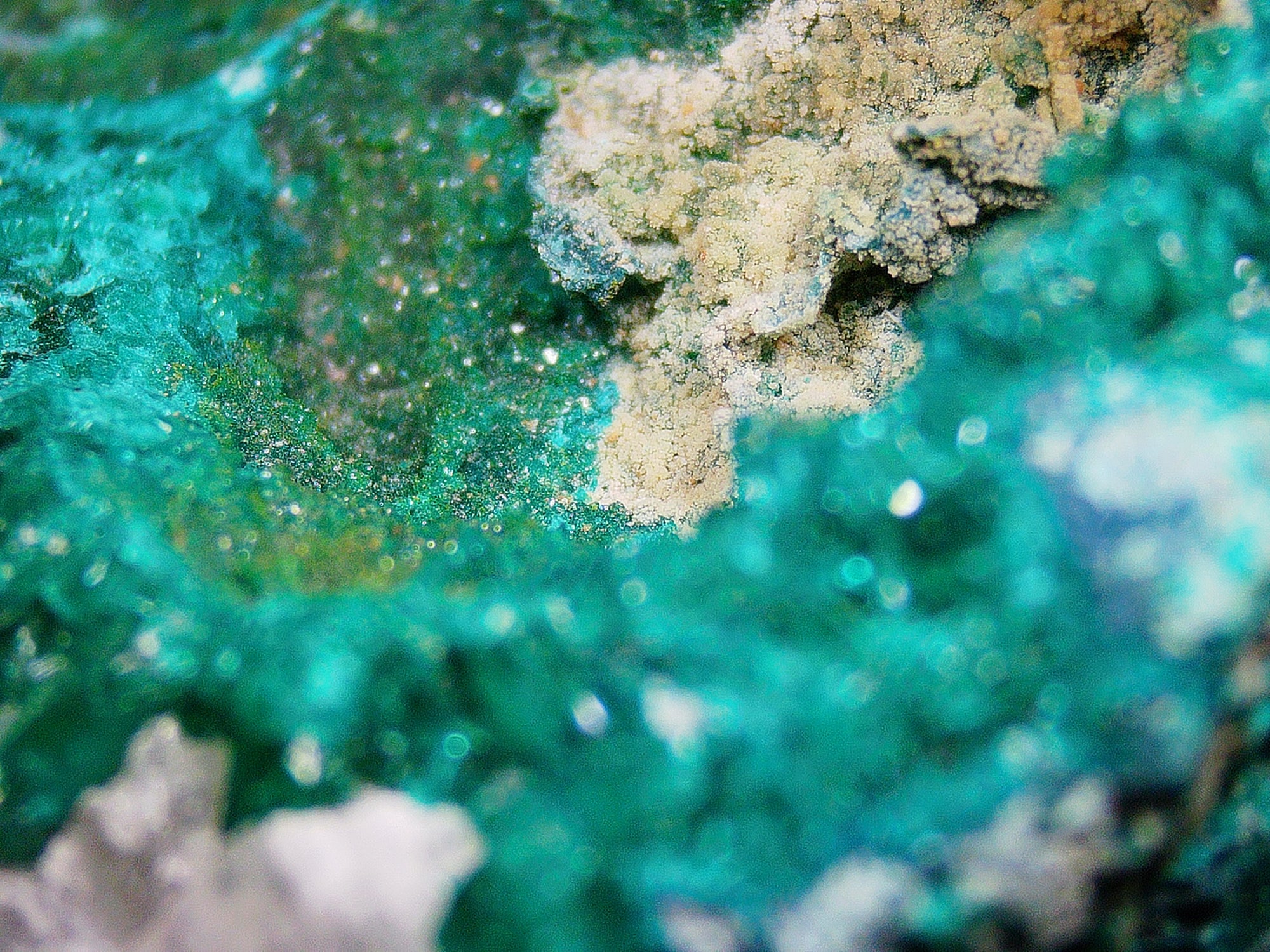 Chrysocolla with Dioptase on Matrix - Kaokoveld, Namibia
