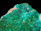 Chrysocolla with Micro-Dioptase on Matrix - Kaokoveld, Namibia