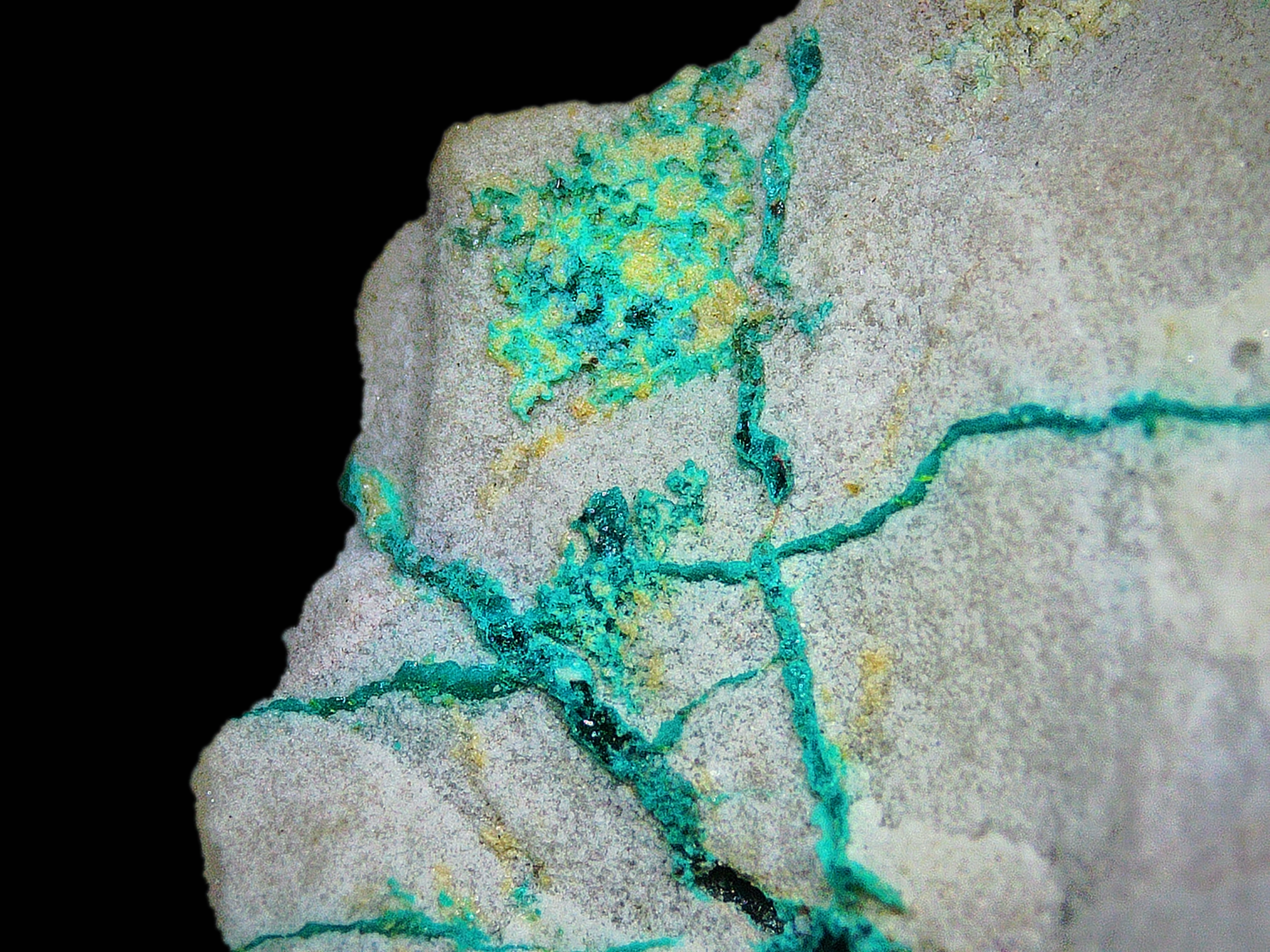 Dioptase on Quartz Matrix (with minor Chrysocolla alteration) - Kaokoveld, Namibia