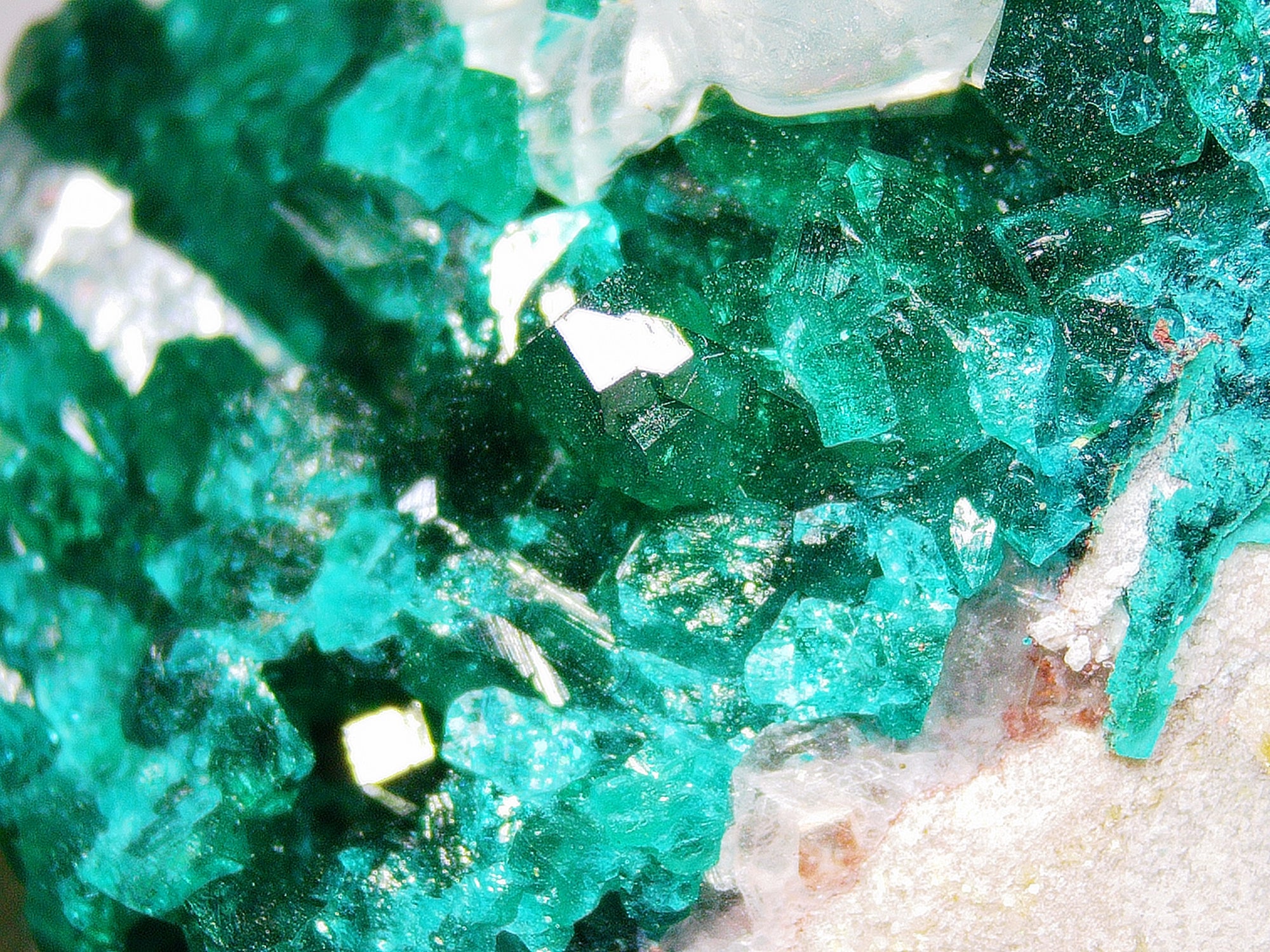 Dioptase on Quartz Matrix (with minor Chrysocolla alteration) - Kaokoveld, Namibia