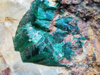 Dioptase on Quartz Matrix - Kaokoveld, Namibia