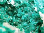 Dioptase on Matrix - Kaokoveld, Namibia