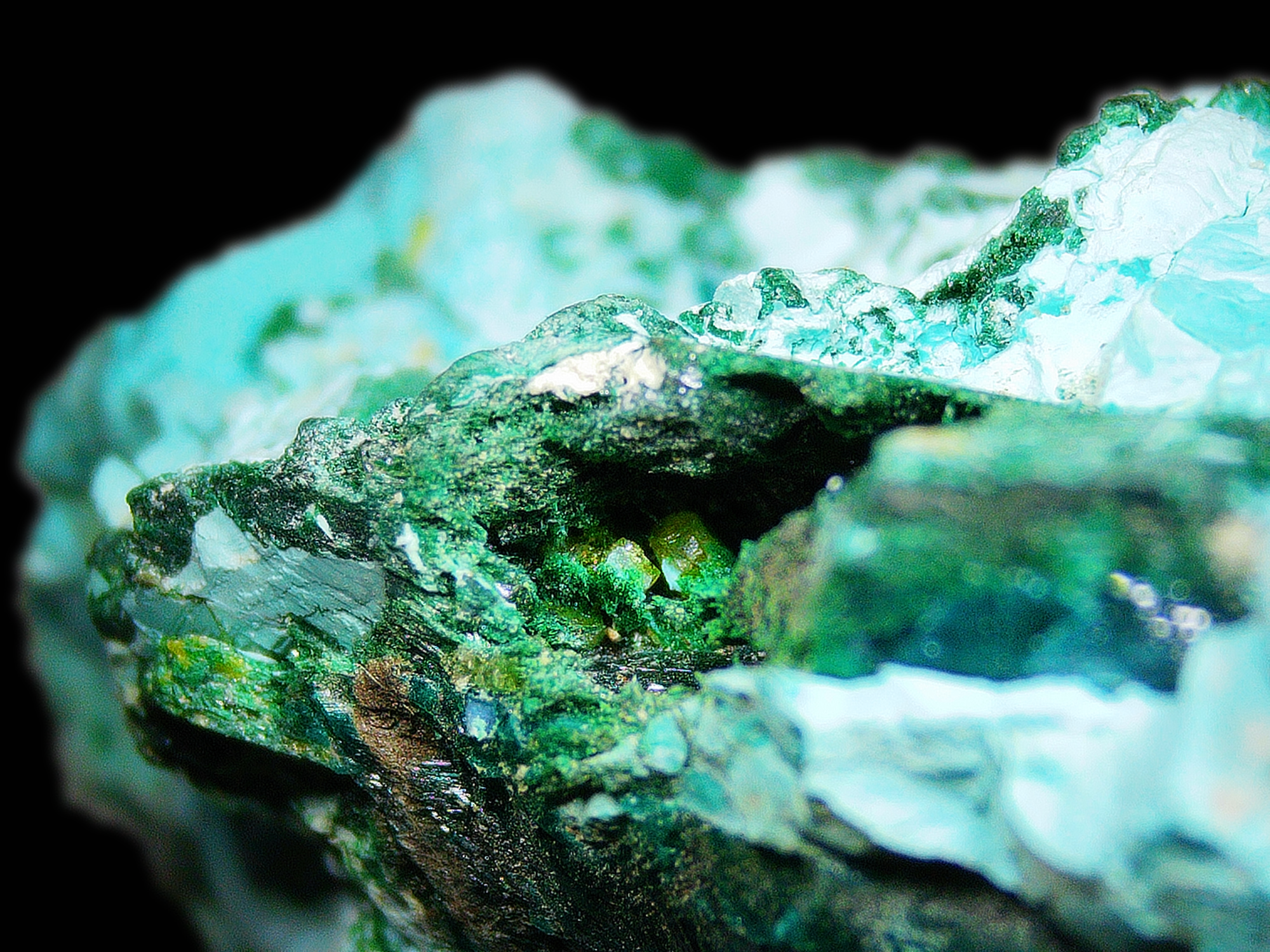 Dioptase on Quartz Matrix - Kaokoveld, Namibia