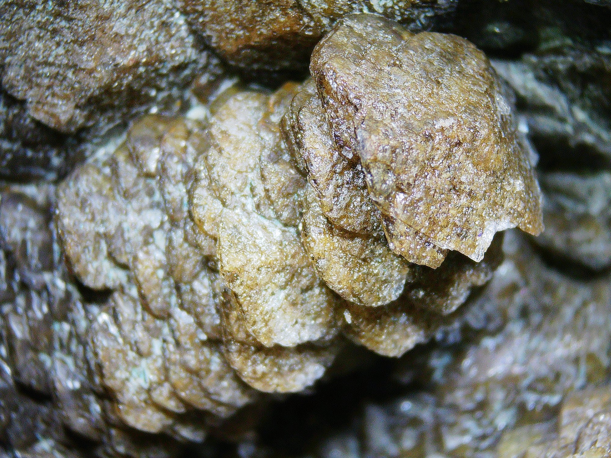 Fluorite with Pyrite on Matrix - Kaokoveld, Namibia