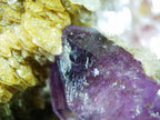 Fluorite with Pyrite on Matrix - Kaokoveld, Namibia