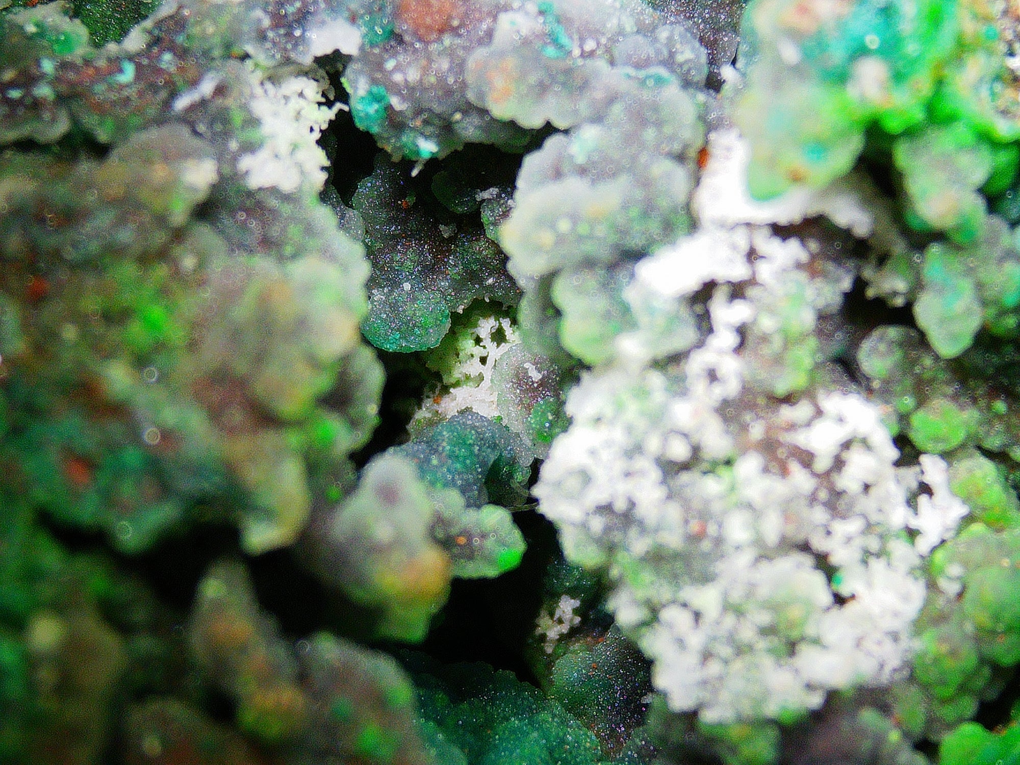Azurite–Malachite with Chrysocolla on Iron-Rich Matrix - Kaokoveld, Namibia