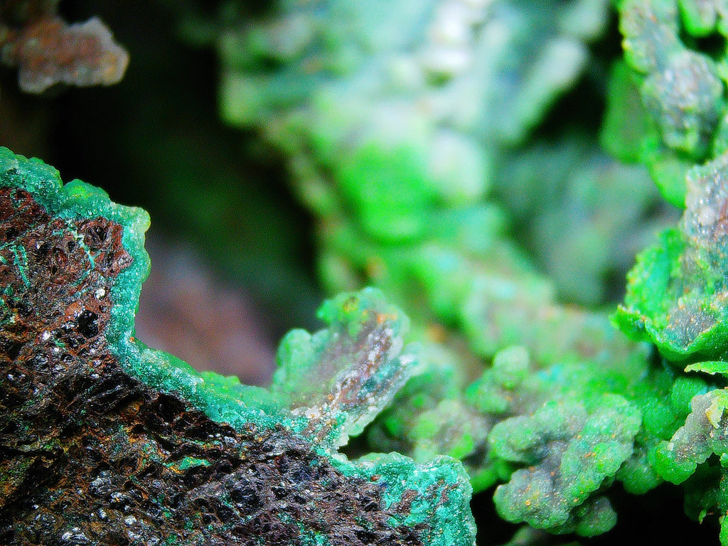 Azurite–Malachite with Chrysocolla on Iron-Rich Matrix - Kaokoveld, Namibia