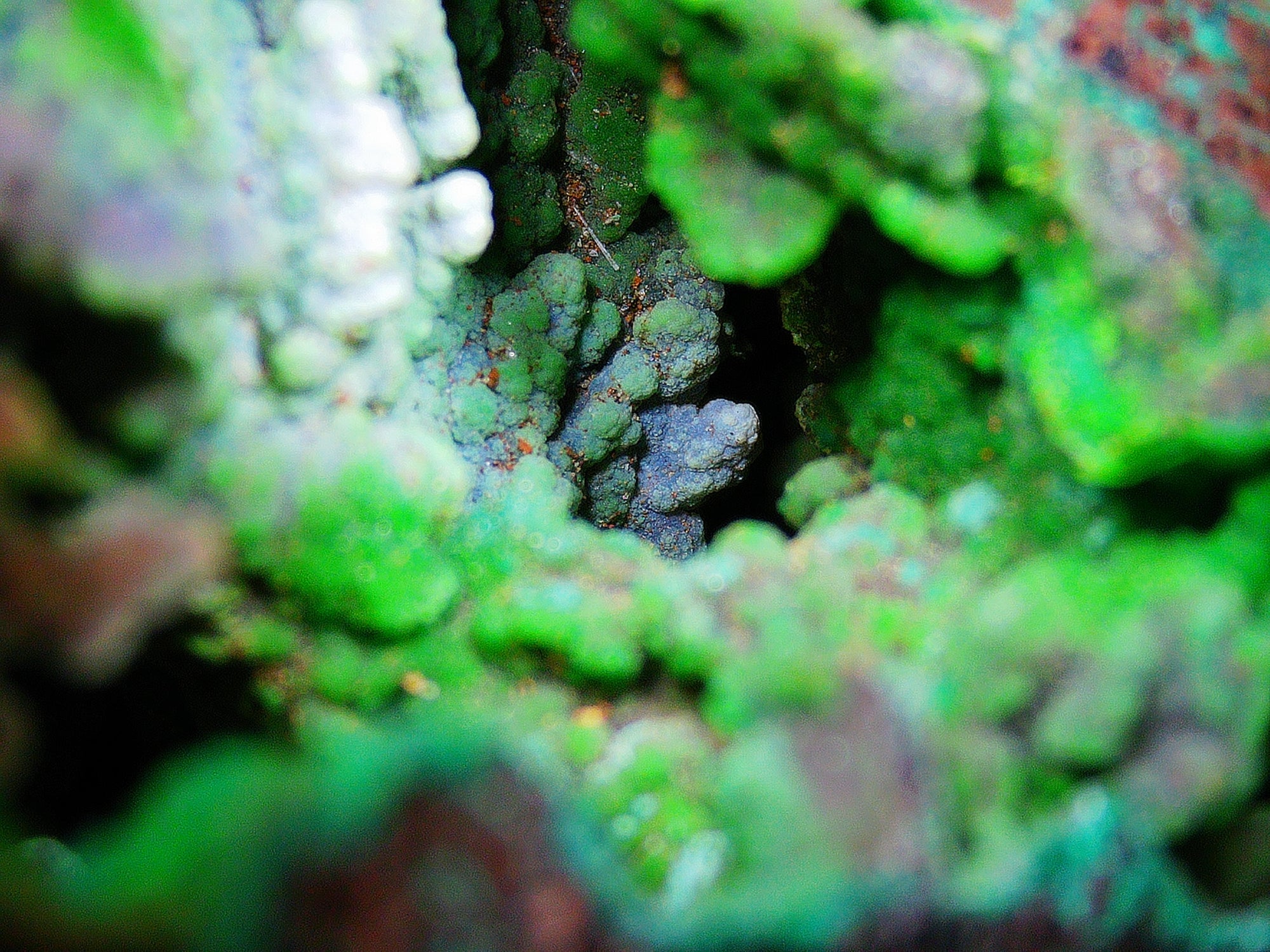 Azurite–Malachite with Chrysocolla on Iron-Rich Matrix - Kaokoveld, Namibia