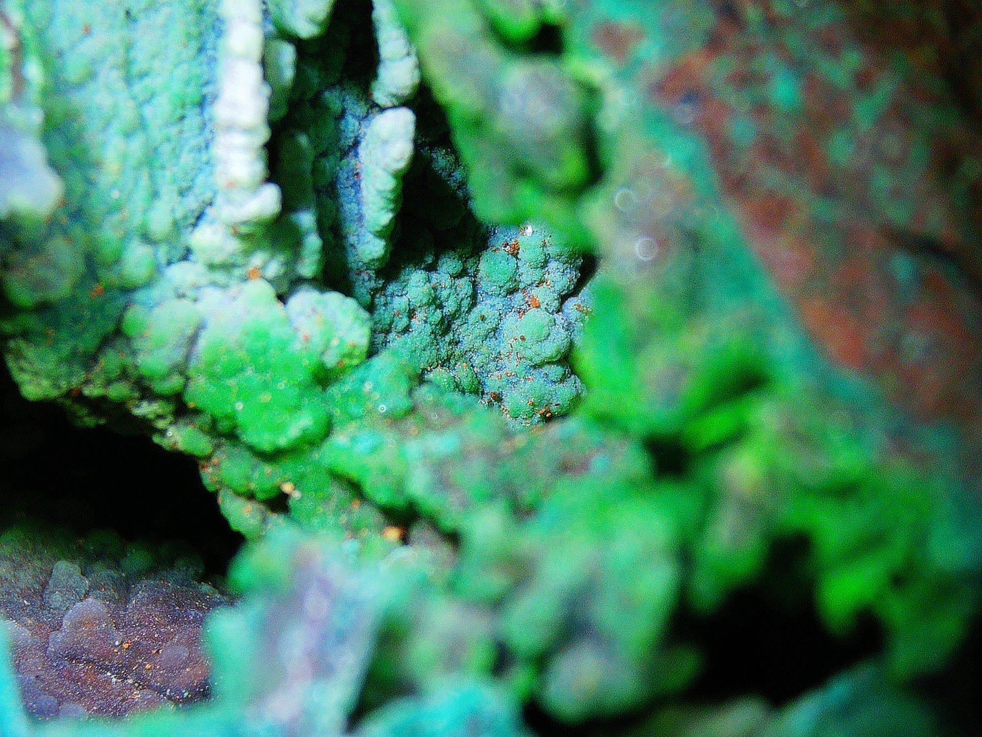 Azurite–Malachite with Chrysocolla on Iron-Rich Matrix - Kaokoveld, Namibia