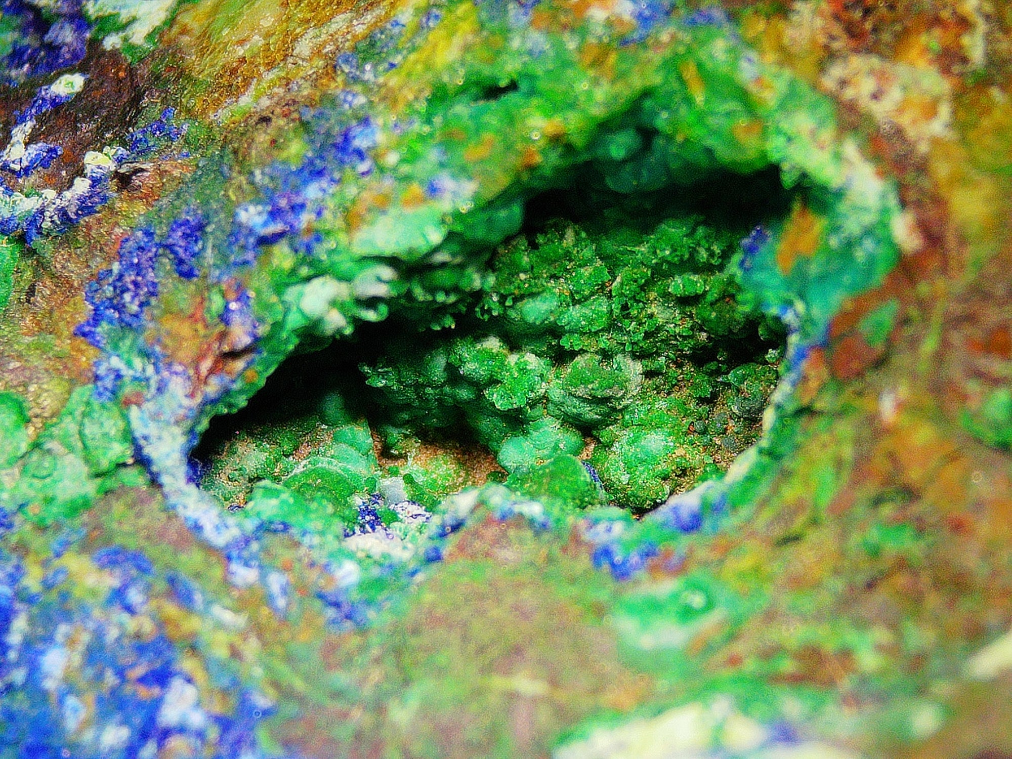 Azurite–Malachite with Chrysocolla on Ironstone Matrix - Kaokoveld, Namibia