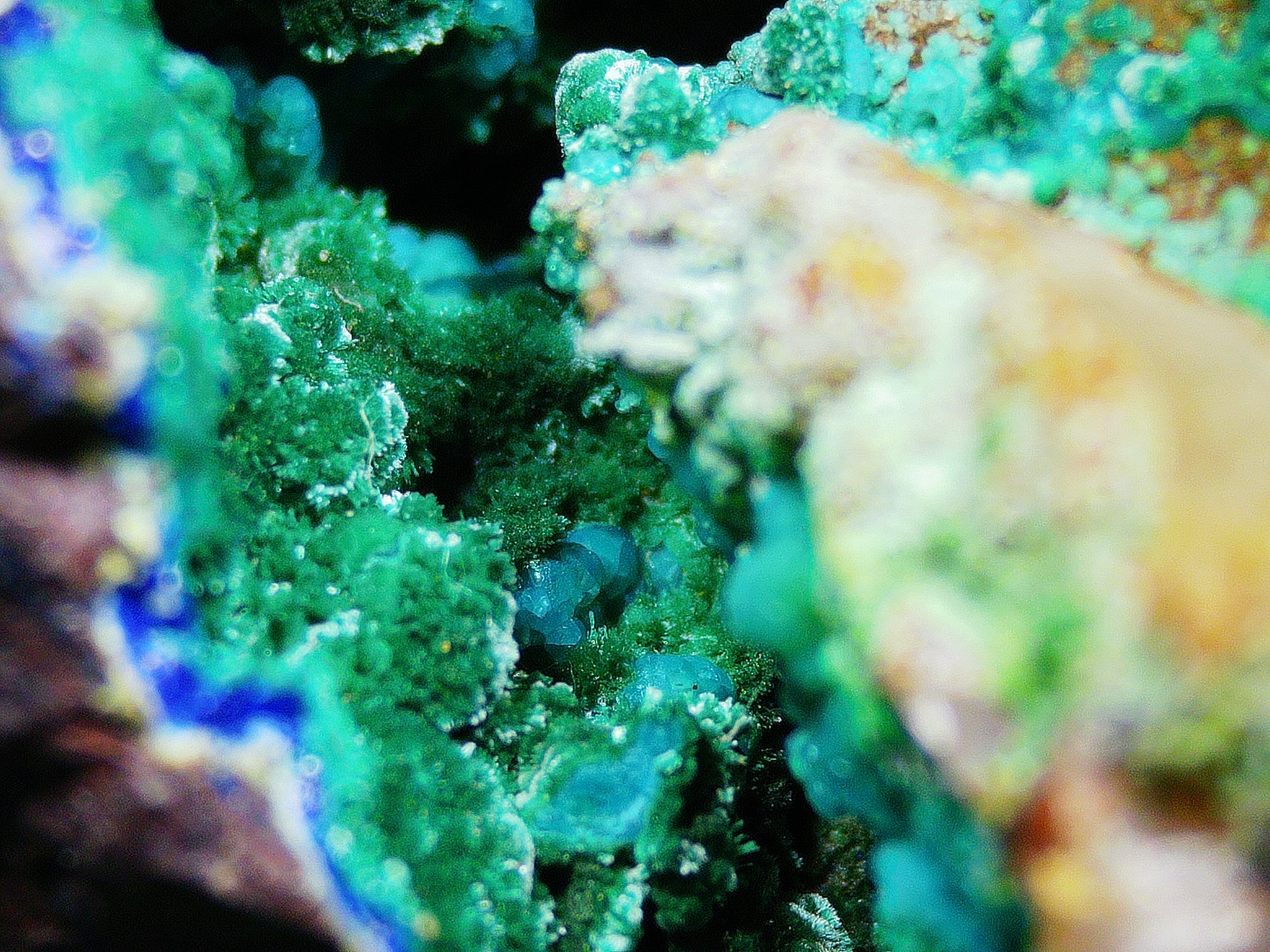 Azurite–Malachite with Chrysocolla on Ironstone Matrix - Kaokoveld, Namibia