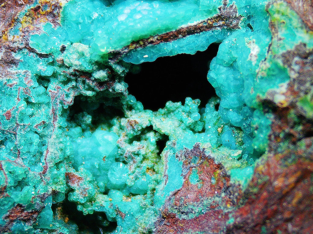 Azurite–Malachite with Chrysocolla on Ironstone Matrix - Kaokoveld, Namibia