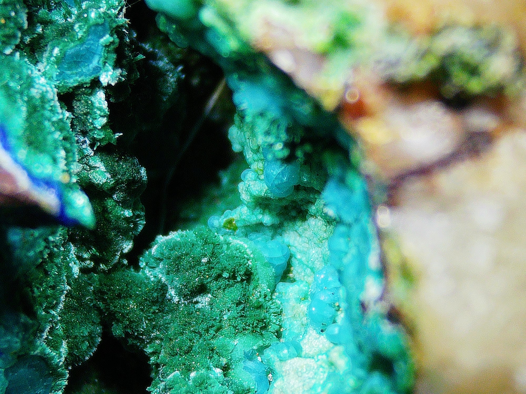 Azurite–Malachite with Chrysocolla on Ironstone Matrix - Kaokoveld, Namibia