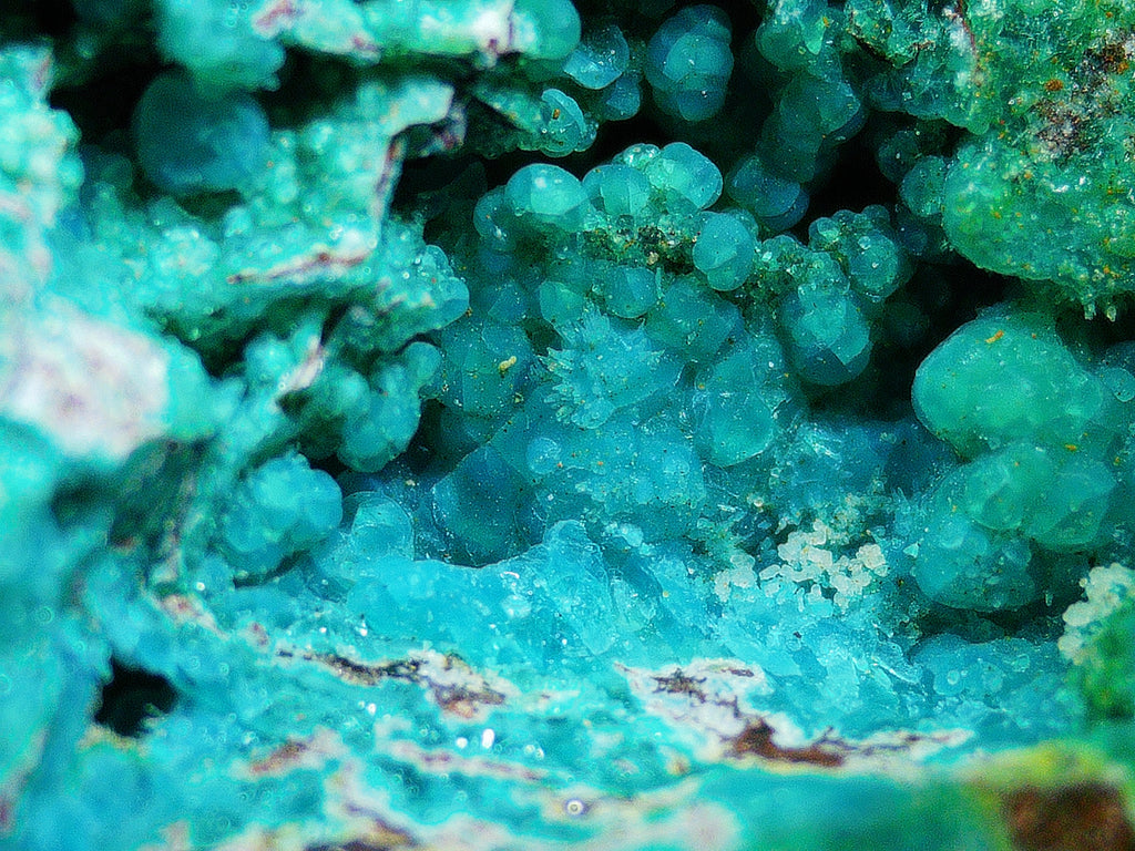 Azurite–Malachite with Chrysocolla on Ironstone Matrix - Kaokoveld, Namibia