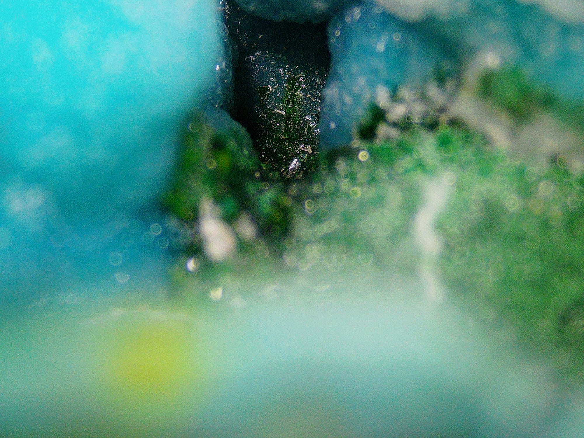 Chrysocolla with Malachite and Quartz on Copper-Rich Host Rock - Kaokoveld, Namibia