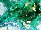 Dioptase with Chrysocolla on Copper-Rich Matrix - Kaokoveld, Namibia
