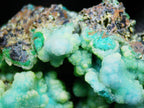 Chrysocolla (Botryoidal) with Minor Copper Silicates on Matrix - Kaokoveld, Namibia