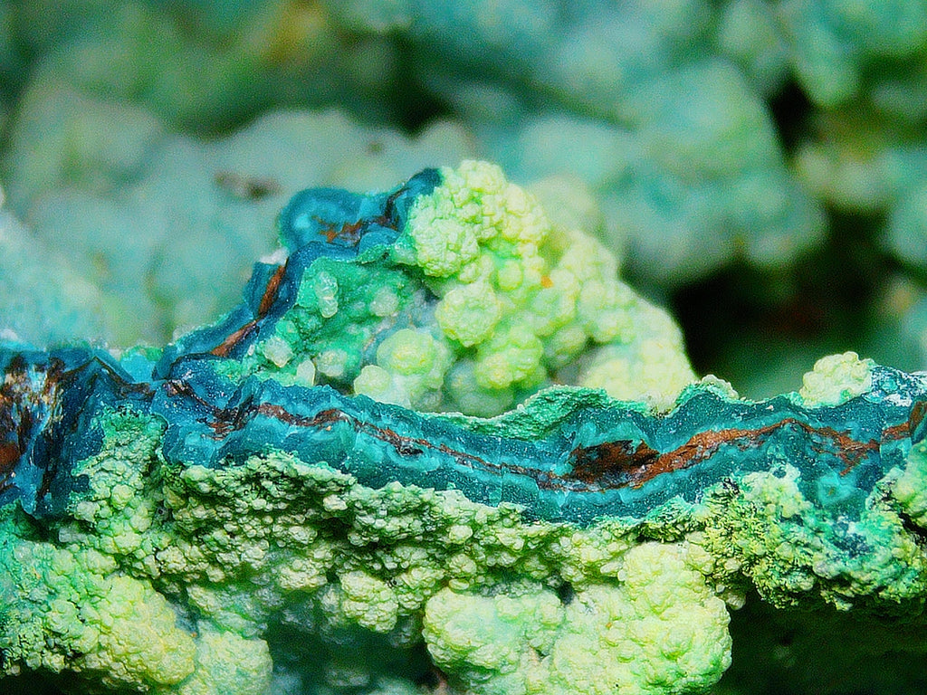 Chrysocolla (Botryoidal) with Minor Copper Silicates on Matrix - Kaokoveld, Namibia