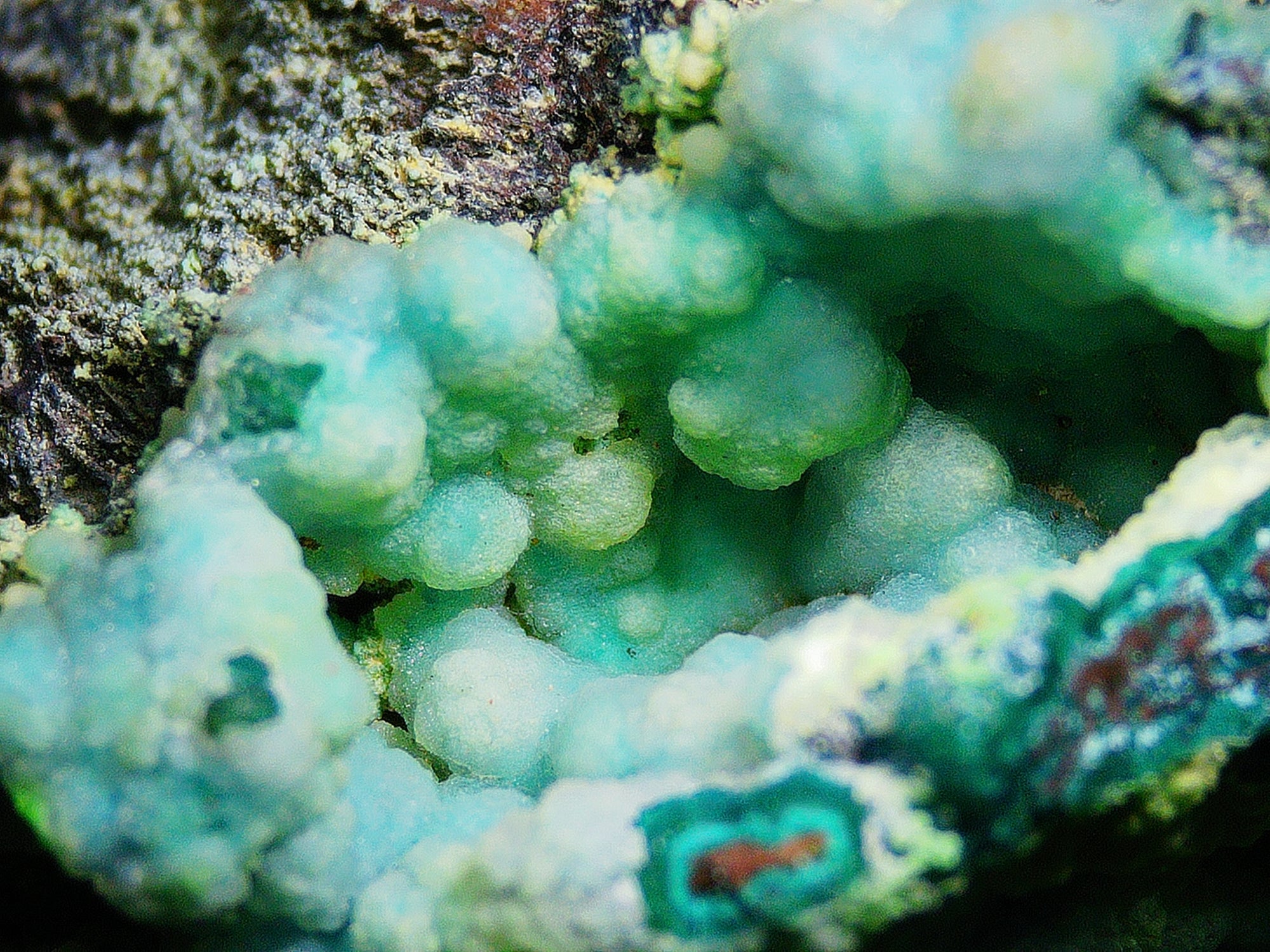 Chrysocolla (Botryoidal) with Minor Copper Silicates on Matrix - Kaokoveld, Namibia