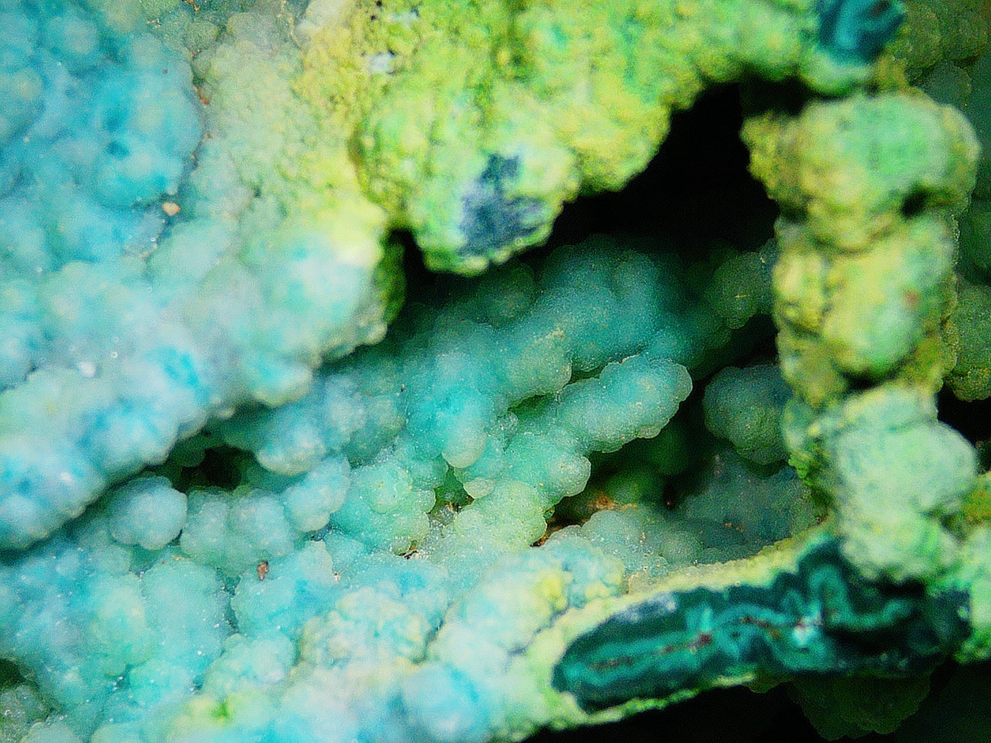 Chrysocolla (Botryoidal) with Minor Copper Silicates on Matrix - Kaokoveld, Namibia