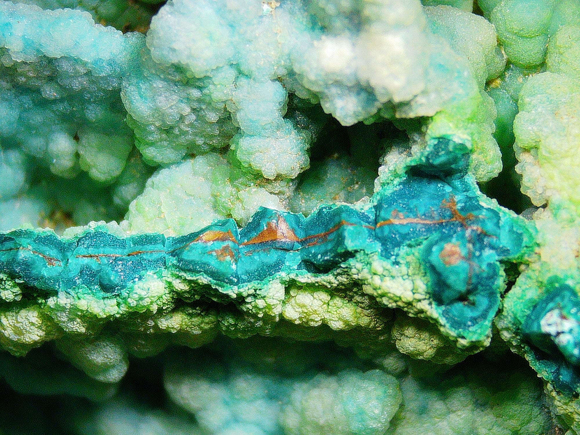 Chrysocolla (Botryoidal) with Minor Copper Silicates on Matrix - Kaokoveld, Namibia